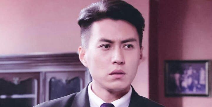 靳东这六款发型帅到无法无天