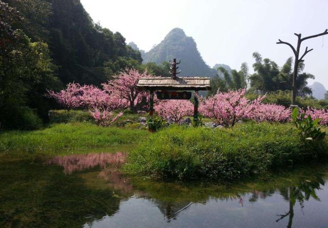 云南真正的世外桃源,藏于天坑中与世隔绝,村民60年未出过村