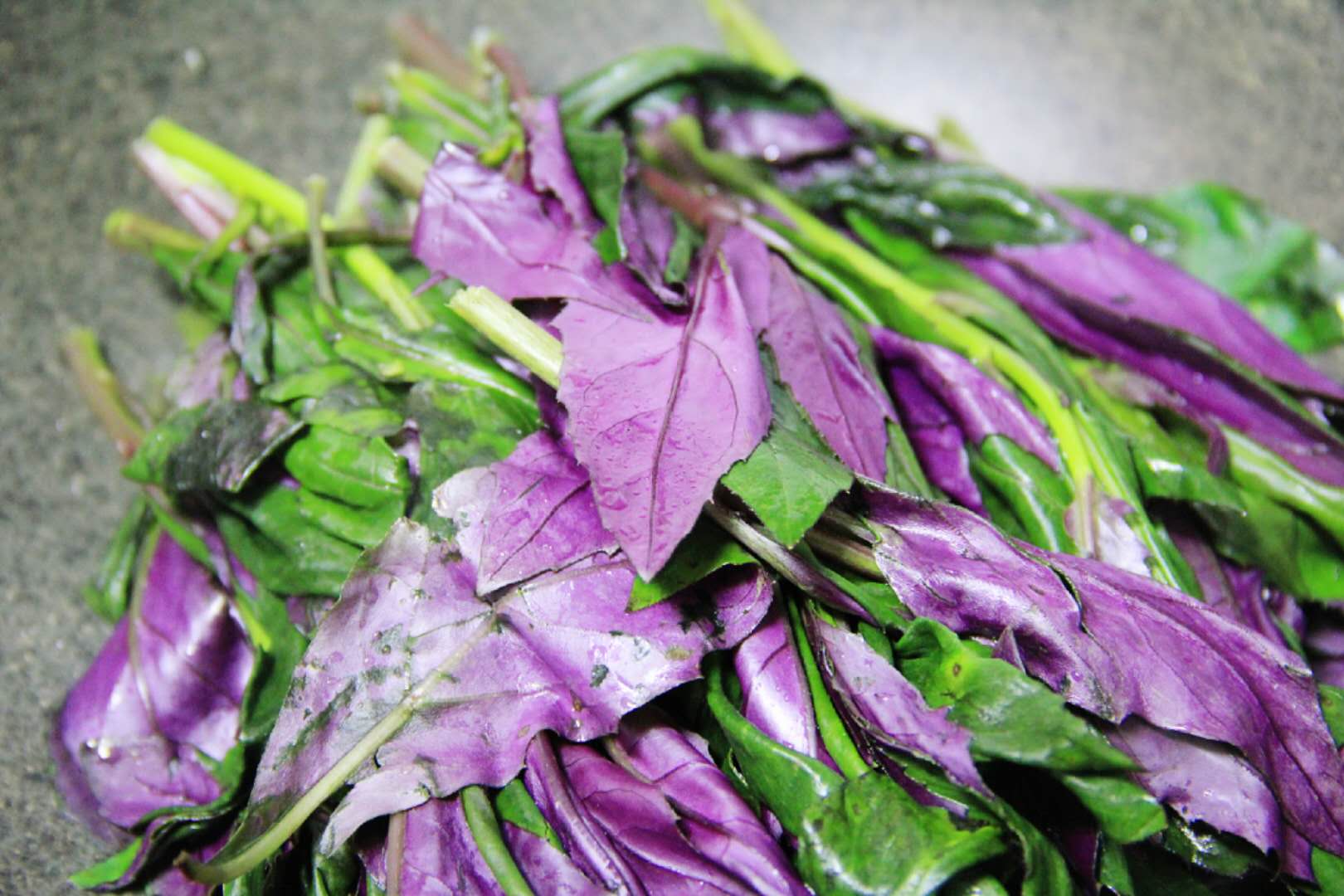 这个菜很少人吃过,味道很独特清香,一定要试试,不吃就亏了