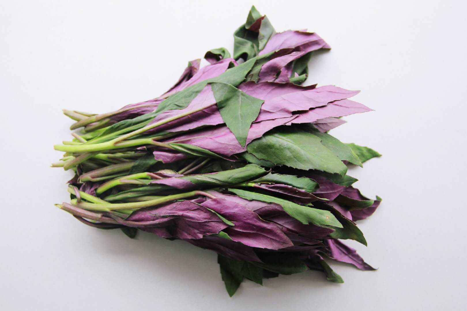 制作步骤 第一步:首先把紫贝菜清洗干净,摘去老梗和败叶,沥干水分备用