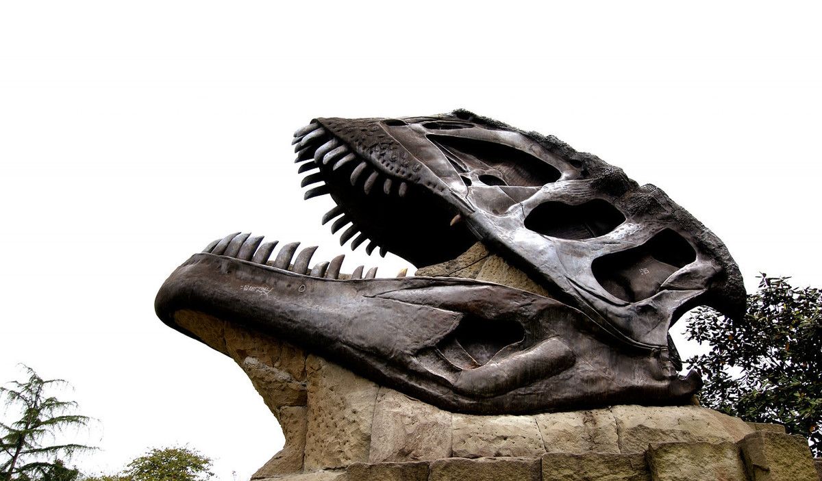 四川自贡大山铺恐龙博物馆