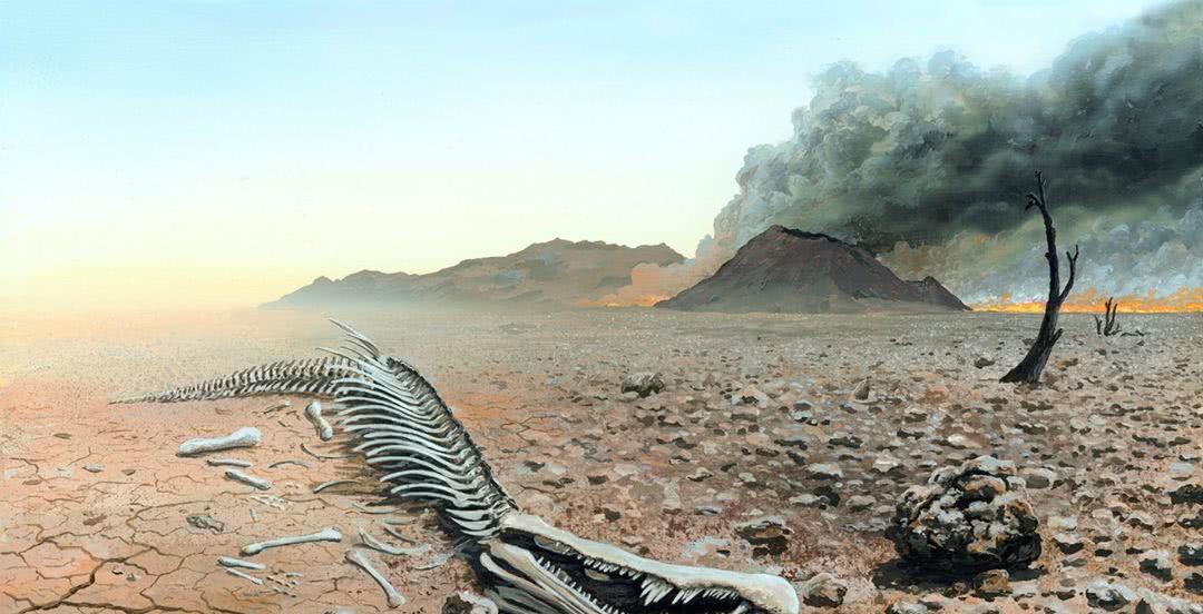 生物大灭绝再次来袭气温升高20网友去内蒙盖海景房