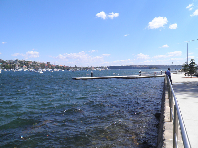 澳大利亚 悉尼市 玫瑰湾