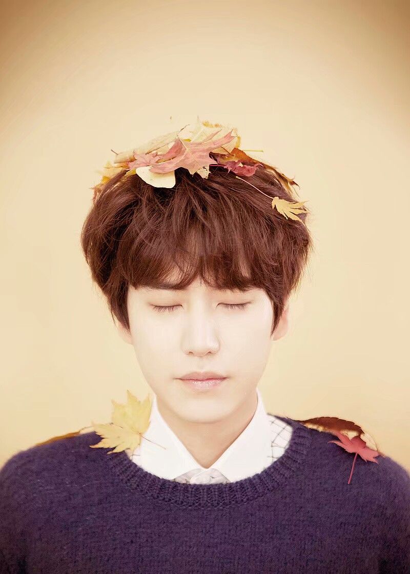 开心superjunior成员曺圭贤有望出演新西游记7