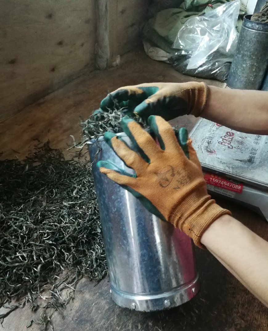 在云南版纳亲身体验普洱茶饼压制全过程