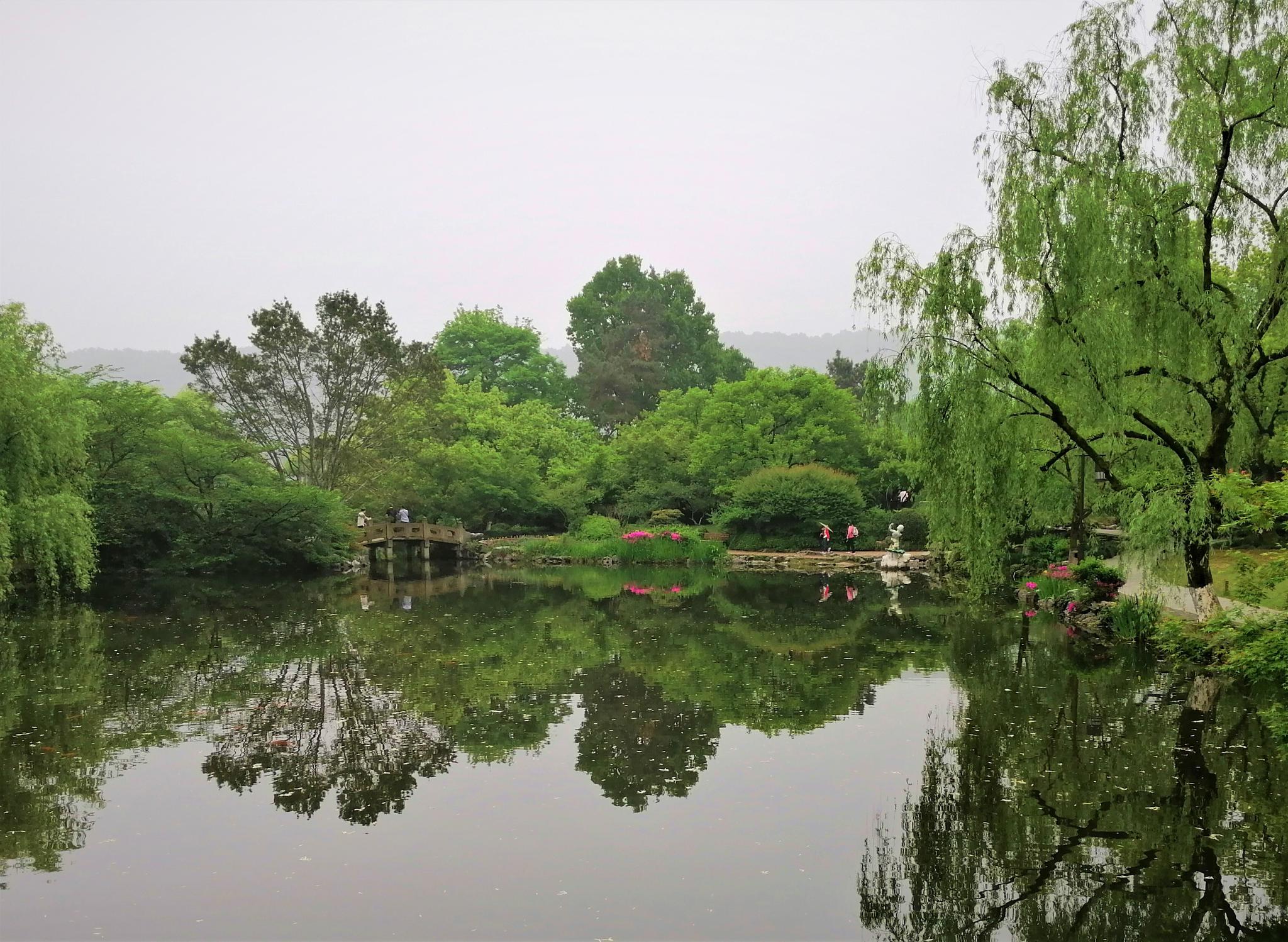 来看看西湖的白天|西湖|长桥|断桥_新浪新闻