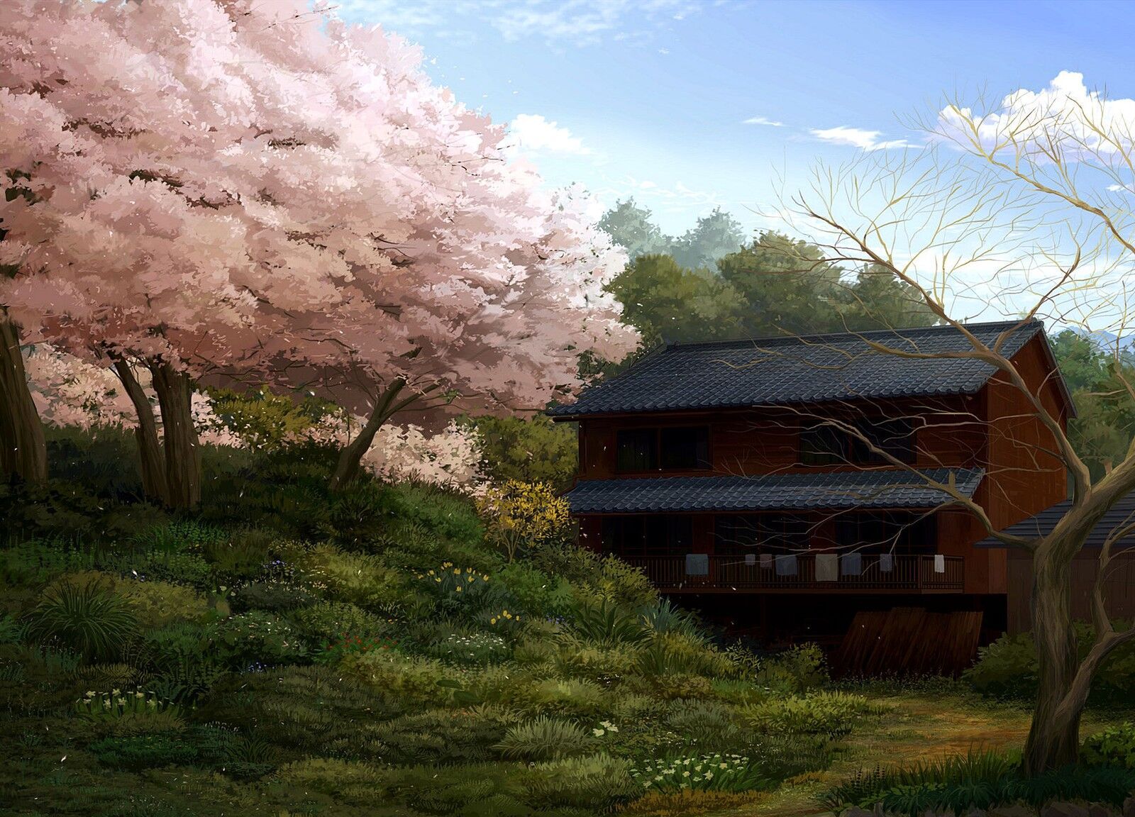 各式画风手机壁纸仙境风景二次元宇宙星空拿走不谢