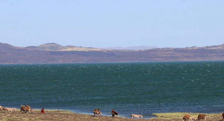 打理好情绪 发现一处别样的美景 令人感觉不虚此行