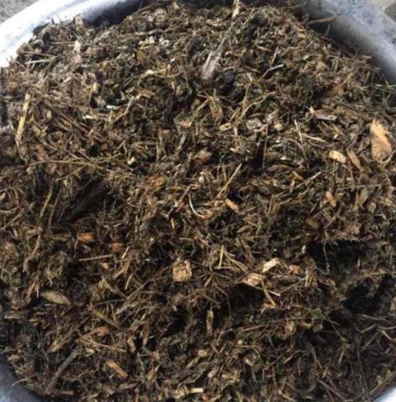 乱扔垃圾很不好 而若是5种垃圾 不妨往花盆里面丢 能把花养好