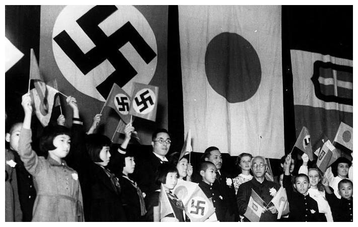 二战期间,其他的仆从国家基本都是打酱油的,比如雅西战役坑了半拉集团