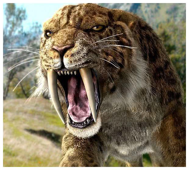 冰河时代前5名凶残的捕食者,人类与动物的大厮杀|灰狼|美洲|剑齿虎