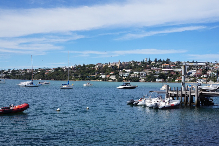 澳大利亚 悉尼市 玫瑰湾