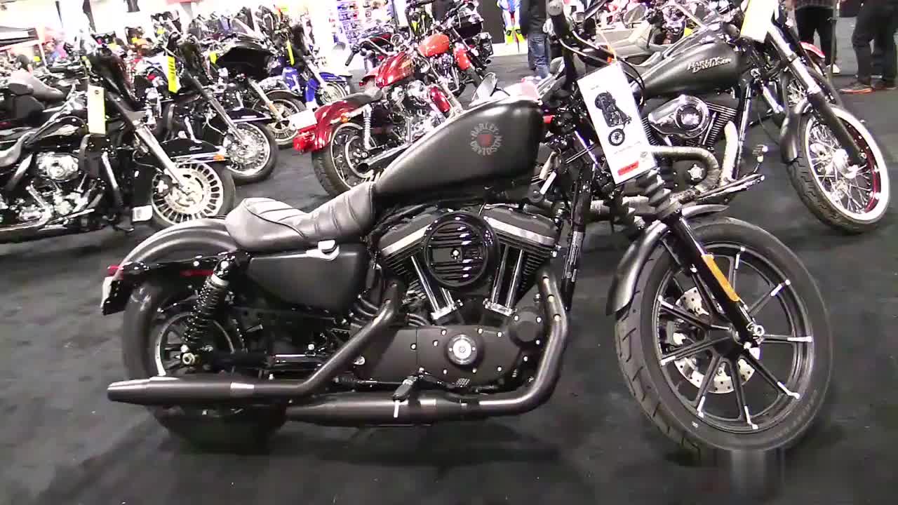 2020款 哈雷 戴维森 硬汉 883