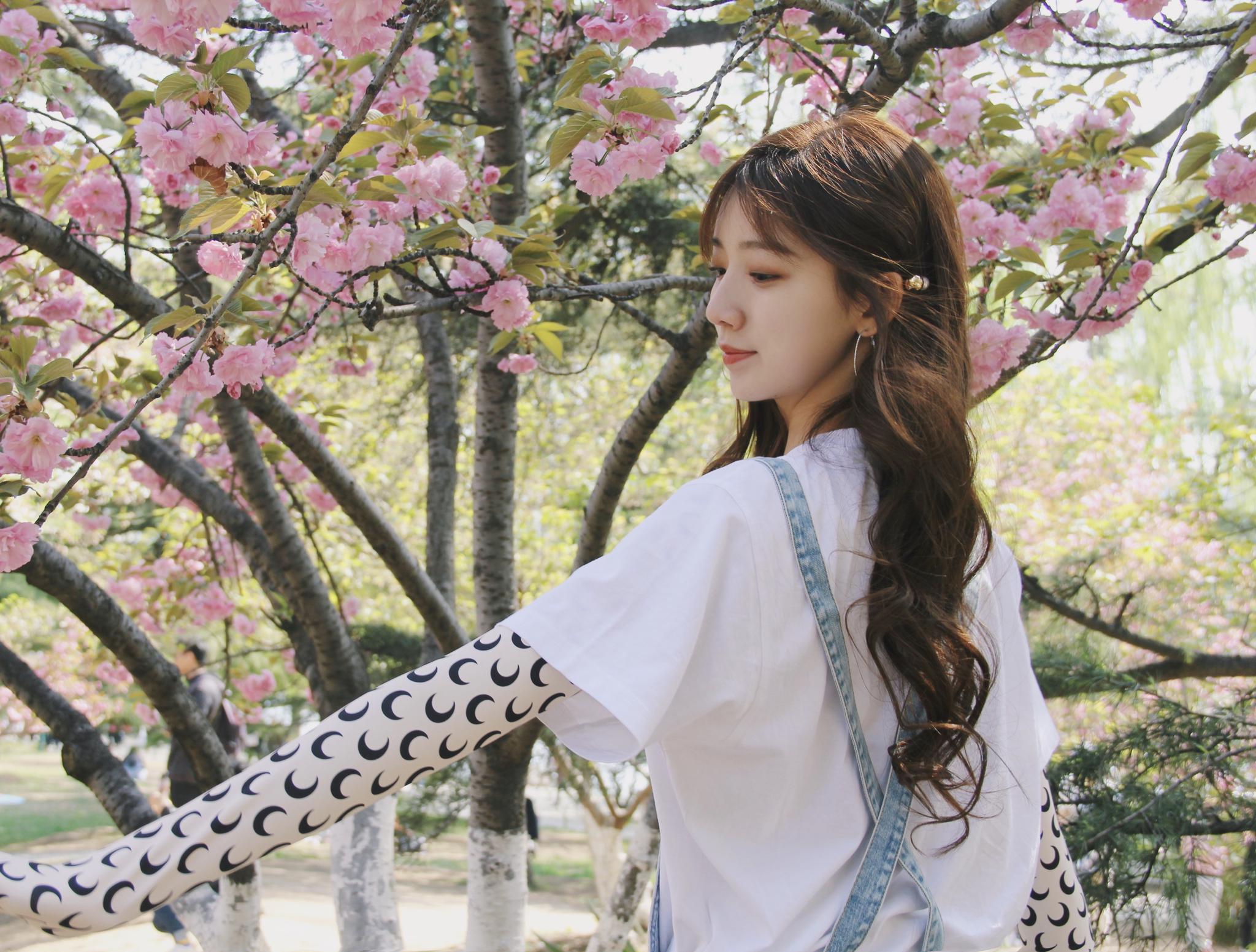 "仙气少女"肖雨晒樱花照 网友:是初恋的感觉了__财经头条
