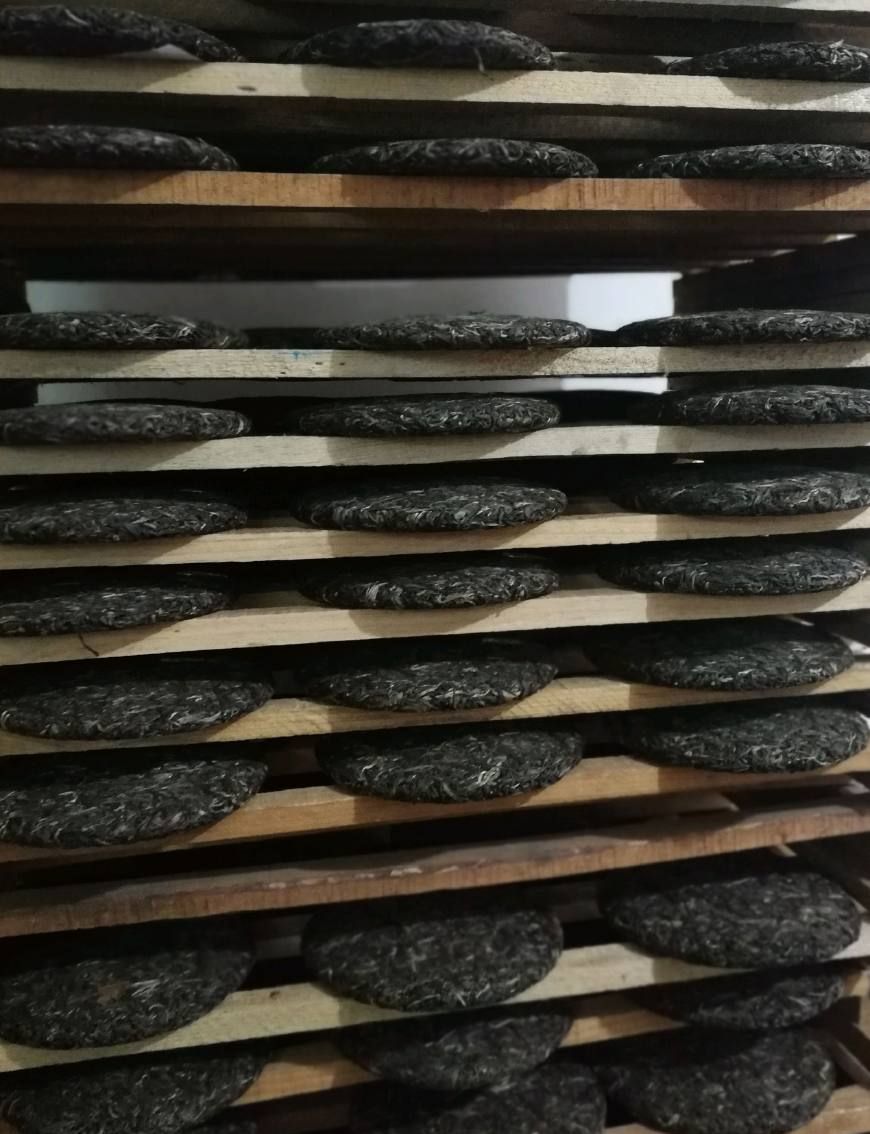 在云南版纳亲身体验普洱茶饼压制全过程