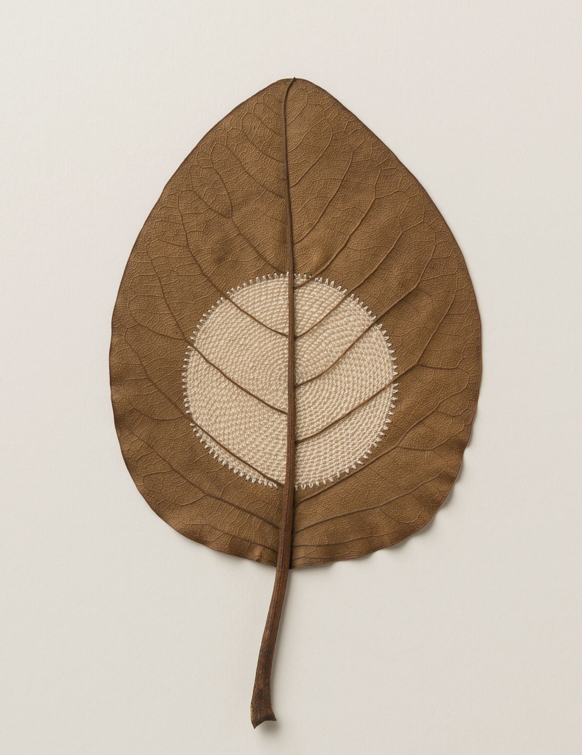 心灵手巧的人让枯叶也能又逢春