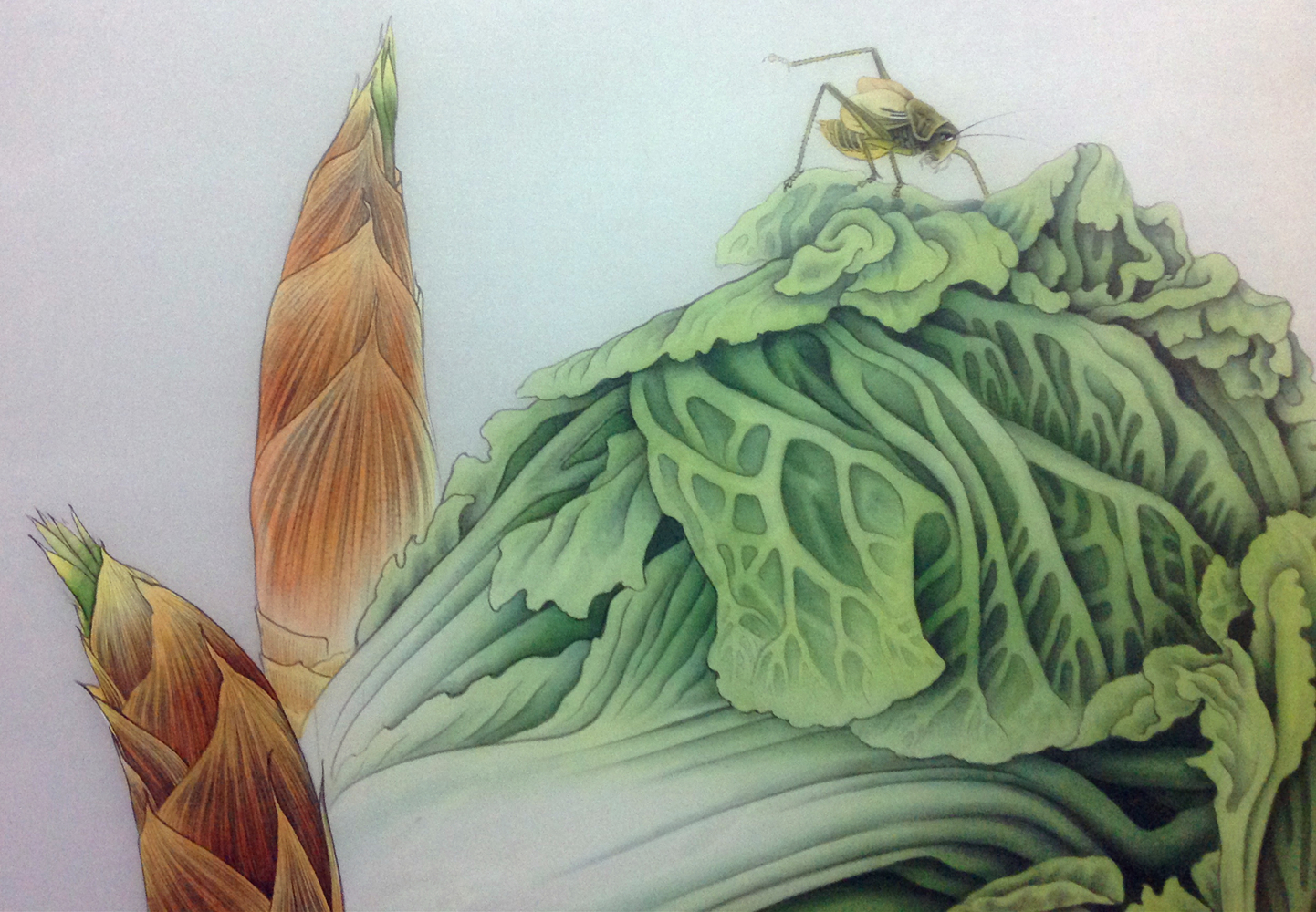 工笔画"百财聚来"欣赏,聚财,招财,发财!