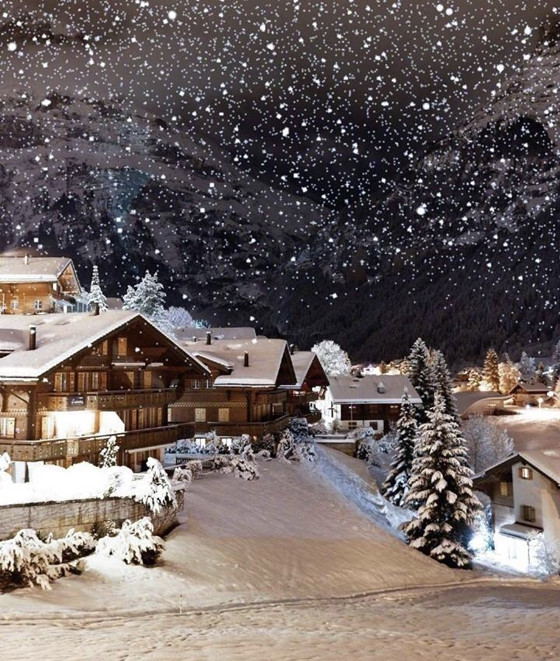 2019年的第一场雪醉美雪景你家下雪了吗