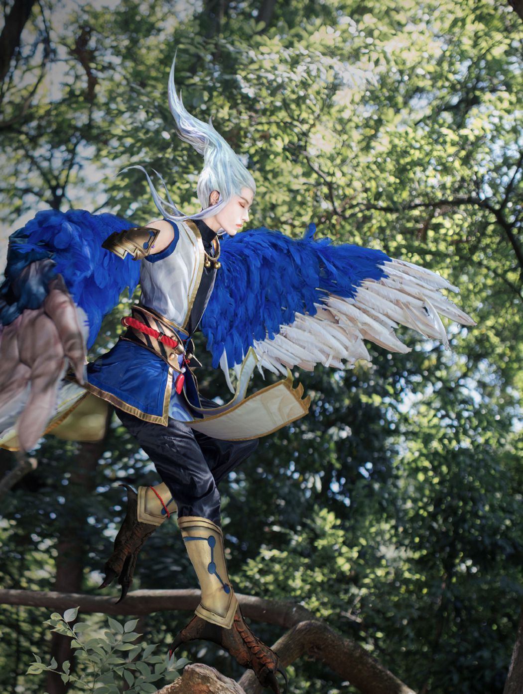 王者荣耀云中君cos:黑夜苏醒盲目,东边归去飞鸟