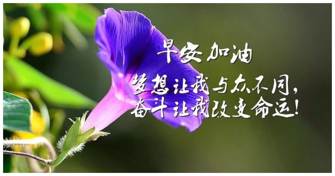 2019 最新版早安励志正能量语句,早上问好的励志句子|人生|生命|人品_新浪新闻