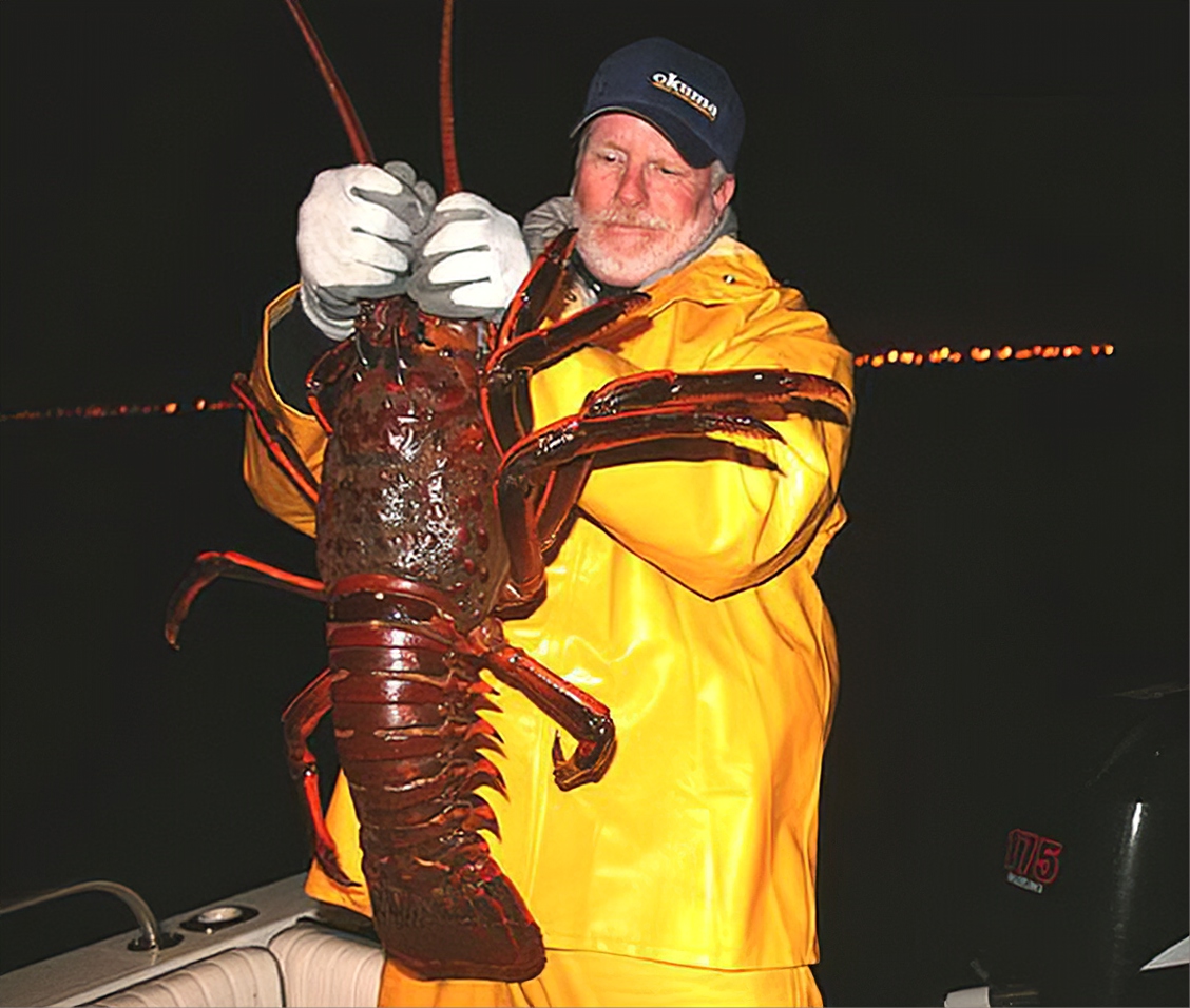 超大龙虾在原产地稀奇吗 以前只有穷人才吃 现在捕到先拍照