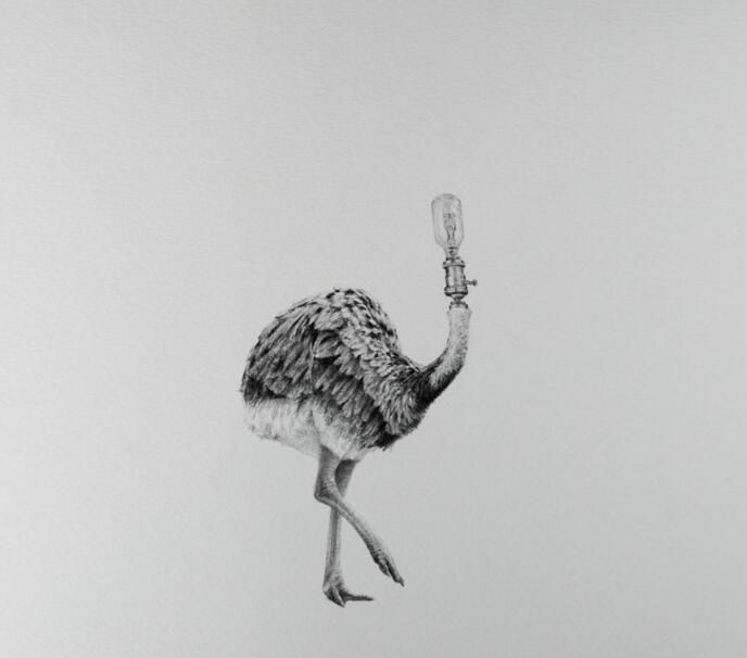 一组奇葩素描,画师mateo pizarro作品