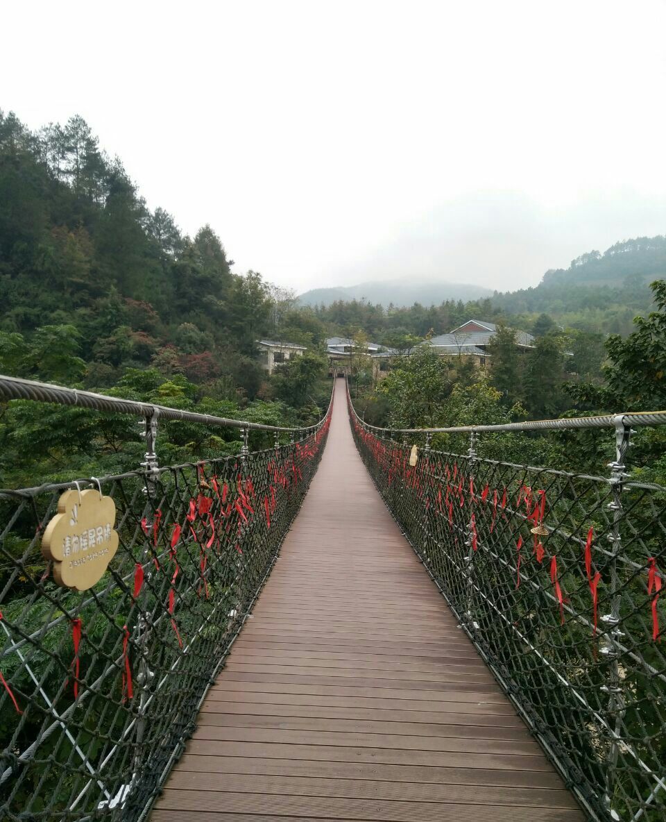 赣南地区的丫山风景区,景观以瀑布为主,有山有水