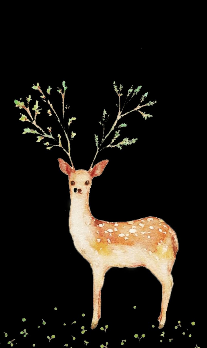 麋鹿手机壁纸关心自己的灵魂从来不早也不会晚