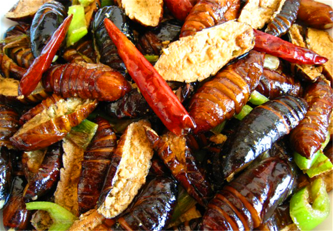 美味可口的干煸茧蛹!掌握正确的做法,也能做的非常的好吃