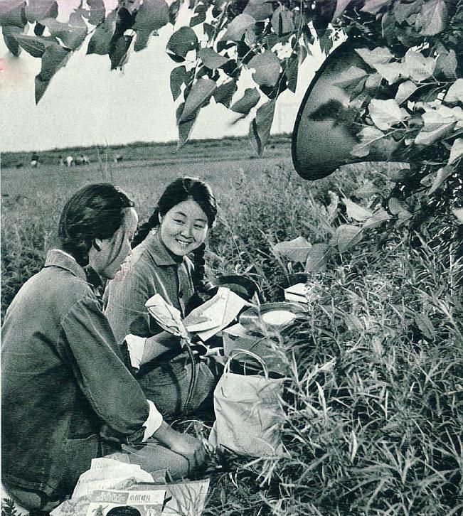 「图集·知青岁月」上山下乡插队：广阔天地，大有作为|知青|图集|岁月|黑光灯|广播员_新浪新闻