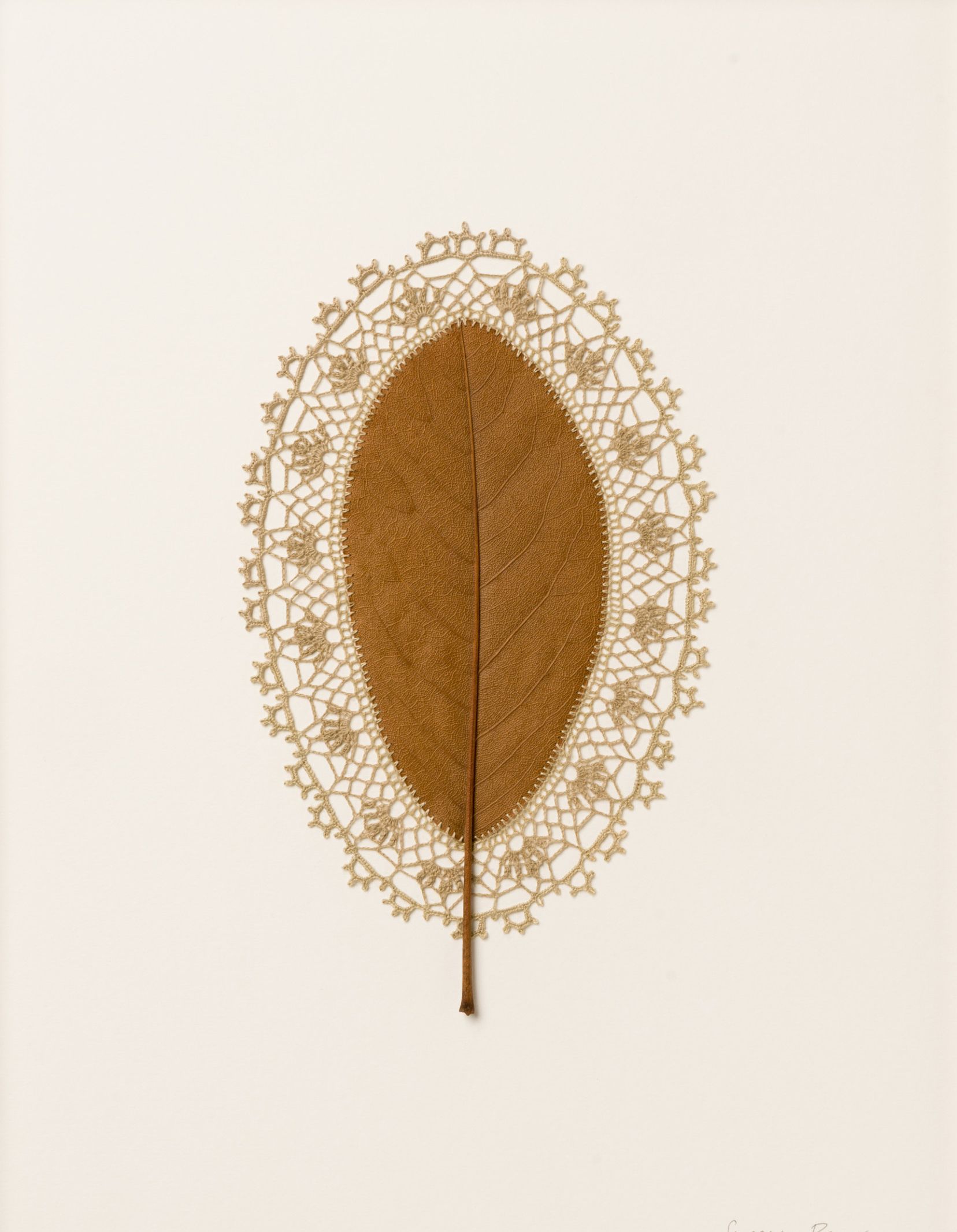 心灵手巧的人让枯叶也能又逢春