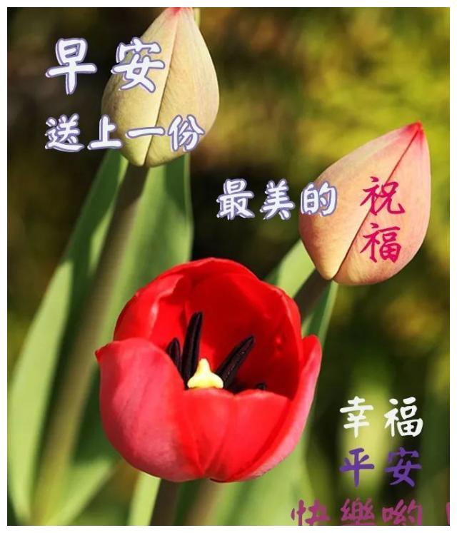 建党百年祝福祖国