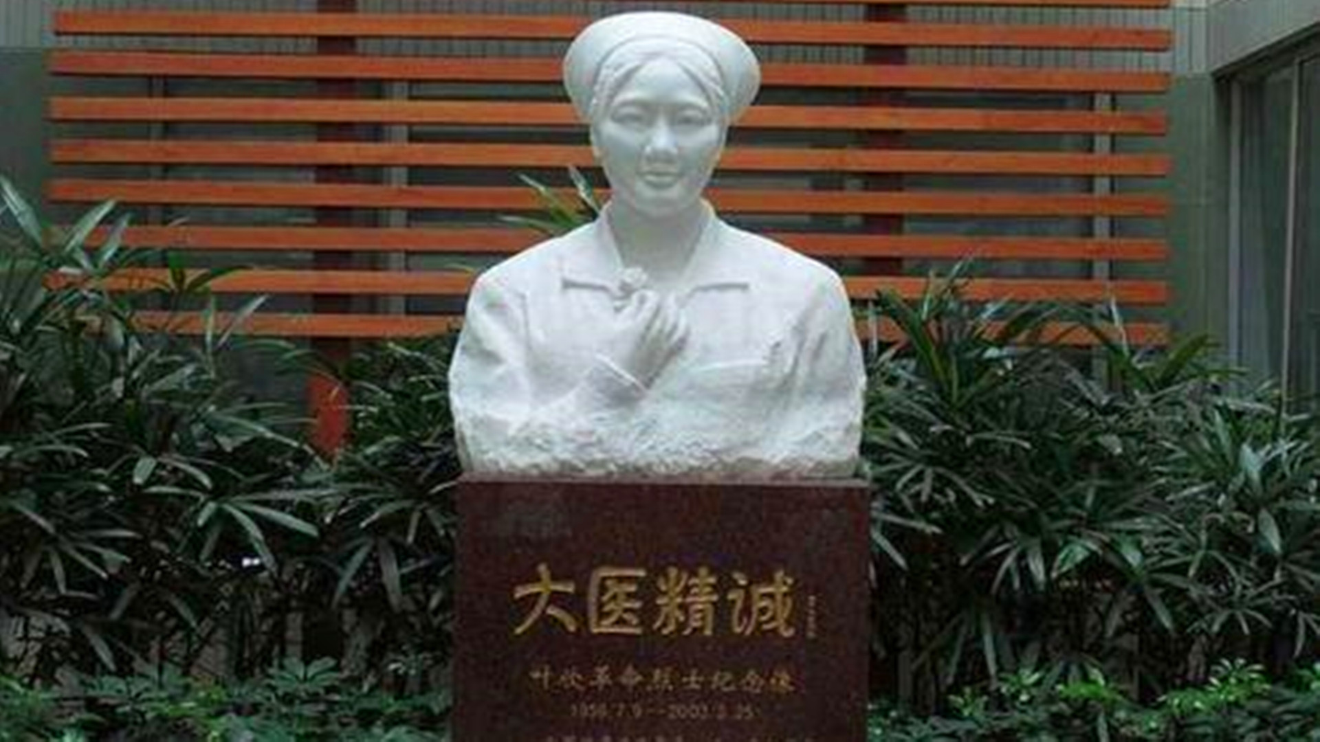 非典殉职护士长叶欣这里危险让我来她的战友除夕夜奔赴武汉