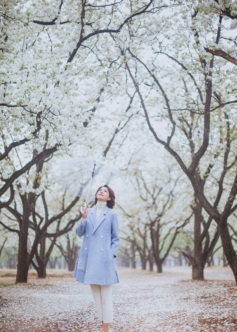 春暖花开时节,主持人张蕾手持雨伞站在梨花树下,好清新
