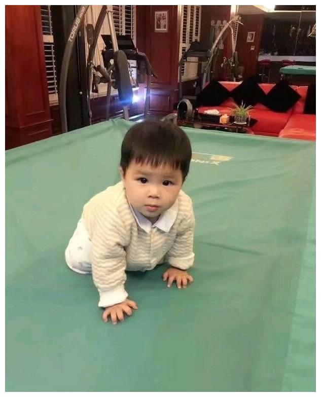 杨子的小儿子一岁了终于看到正脸了