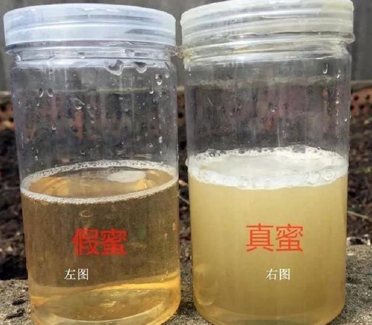 区分真假蜂蜜,只需把瓶子倒过来?良心蜂农:这"3处"一看便知