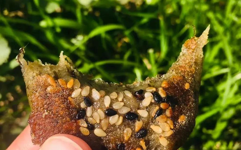 麦芽塌饼,江南春天的专属味道!