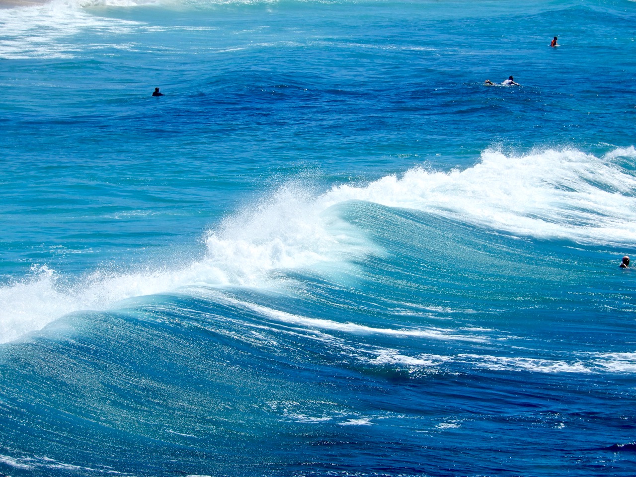 "邦迪黑色星期天" 81年前的杀人巨浪是否会卷土重来