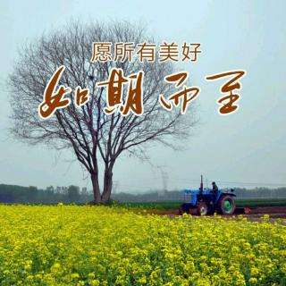 愿租房的所有美好,如期而至!