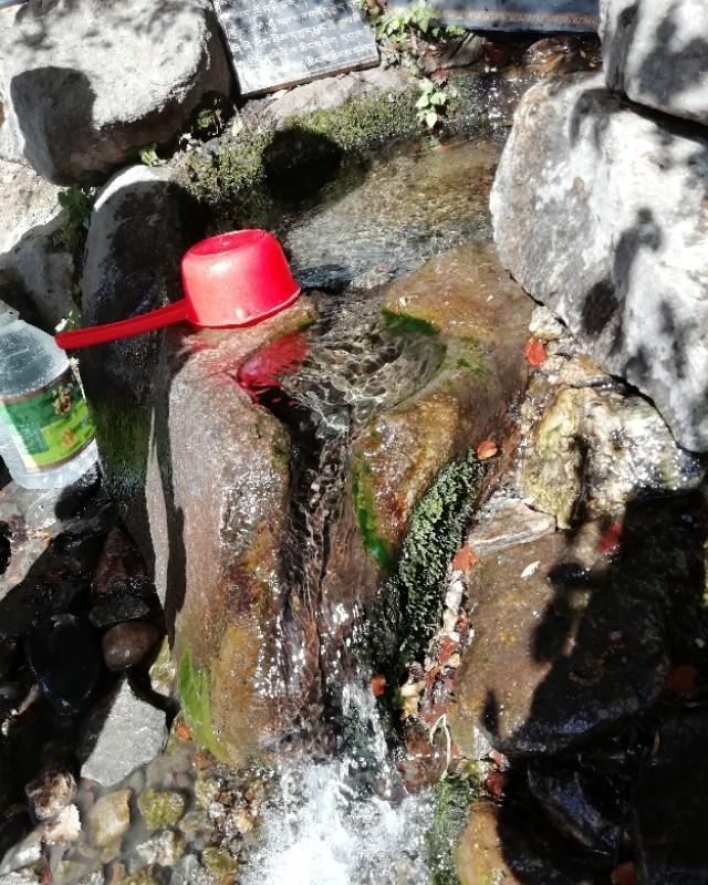 柏树王庄园.苯日神泉.烤藏香猪