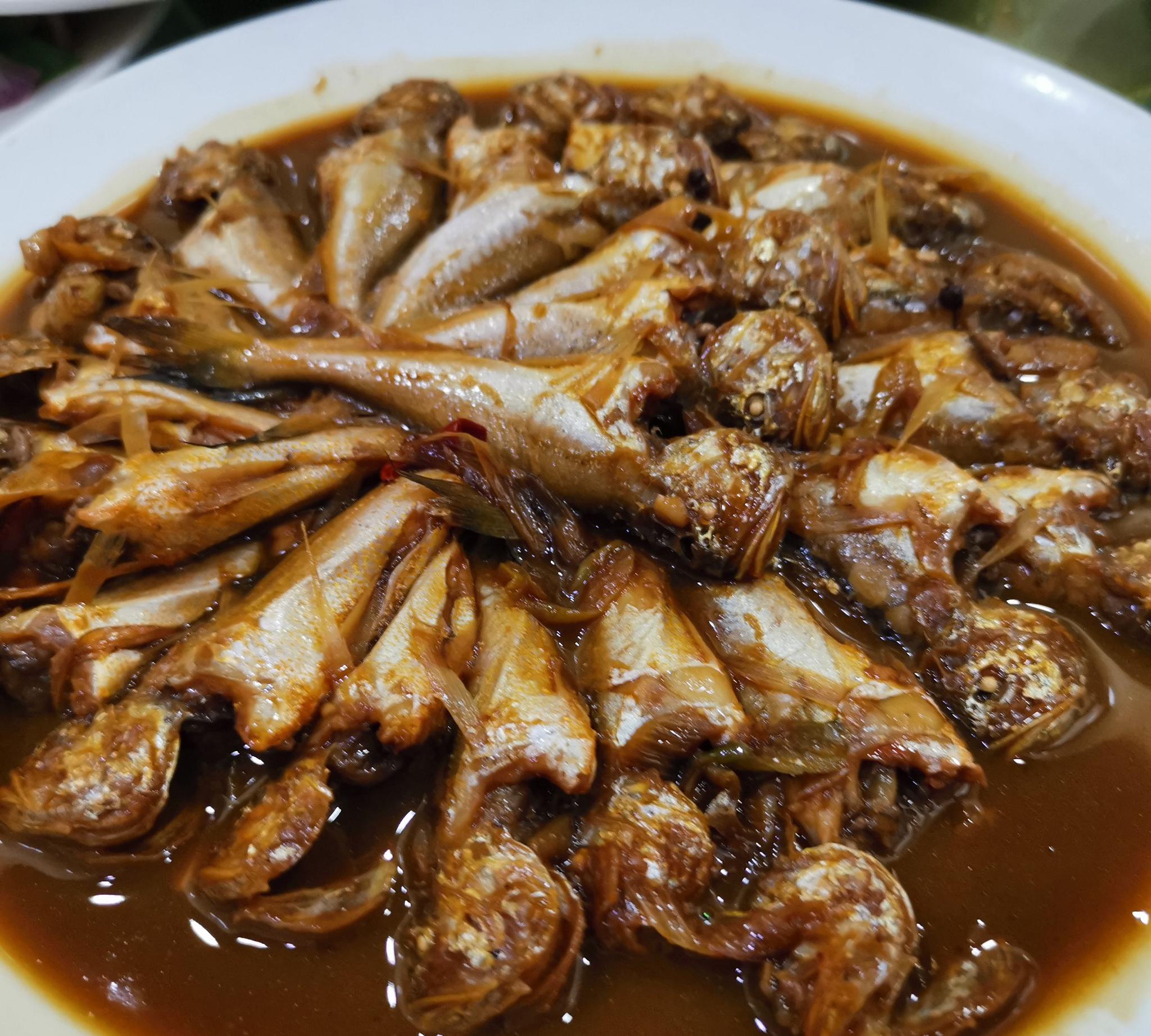 渤海湾天津塘沽的小海鲜,家常熬鱼_高清图集_新浪网