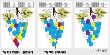 车间员工绩效管理方案——葡萄图