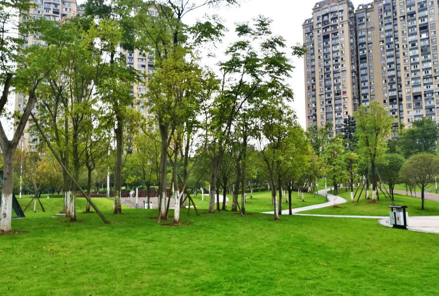 自贡汇东公园,不仅有绿地,还有足球篮球等专业运动场地