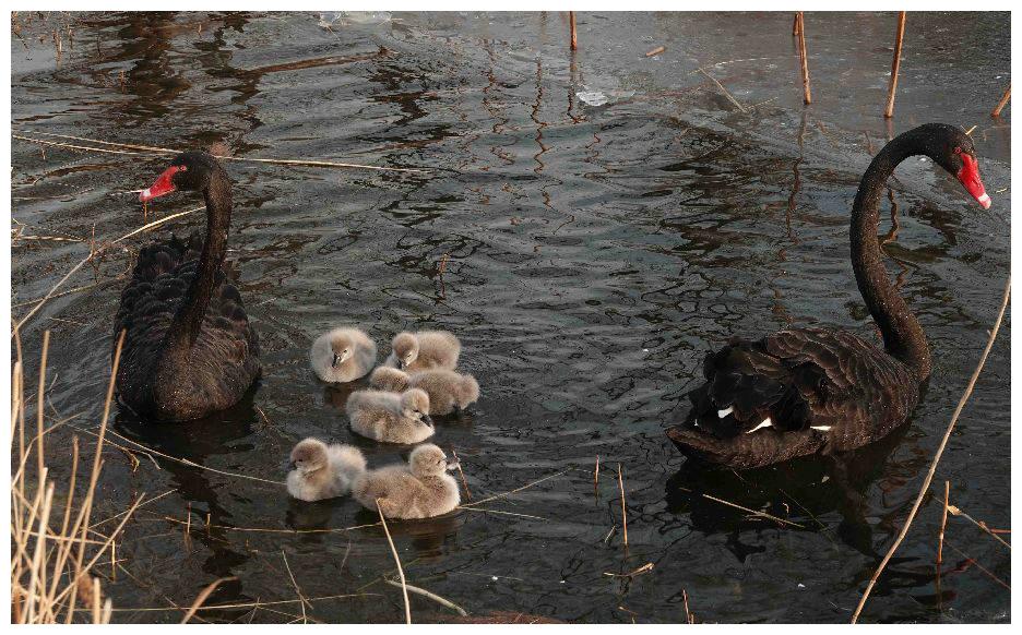 财务自由底层逻辑 普通人如何突破阶层限制