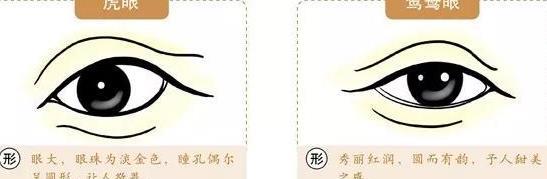 观眼知人术