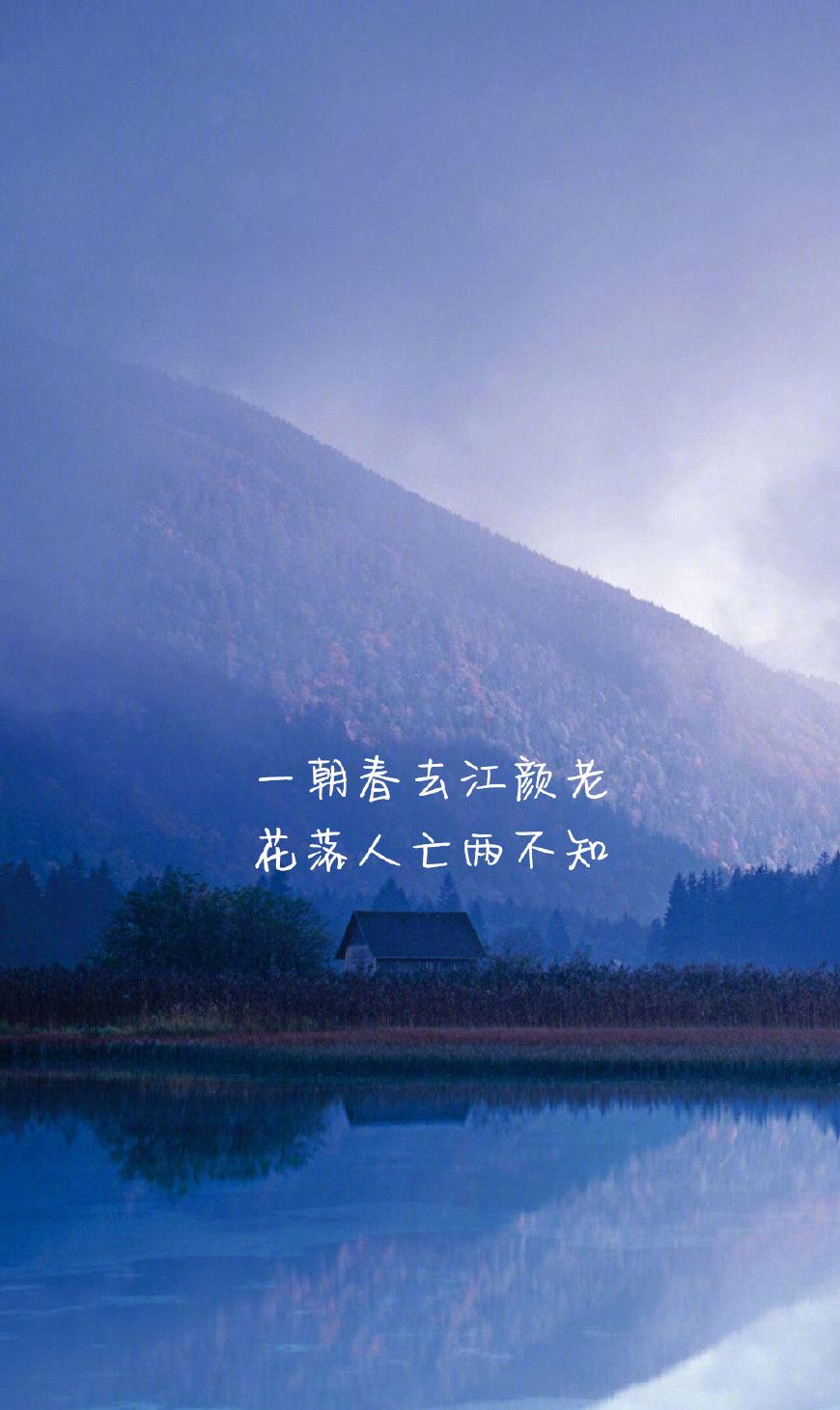 守着初心,莫忘初衷,永不放弃|爱情|人生|岁月|意义|眼泪_新浪新闻