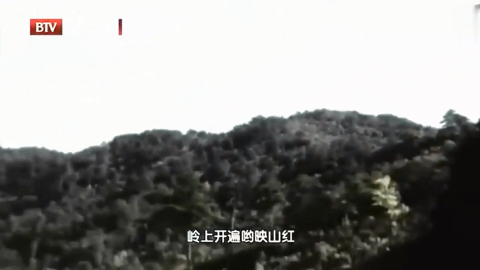 马头琴独奏《天边》,大提琴弦乐四重奏《映山