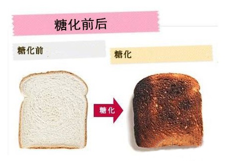 为什么糖化又称为美拉德反应