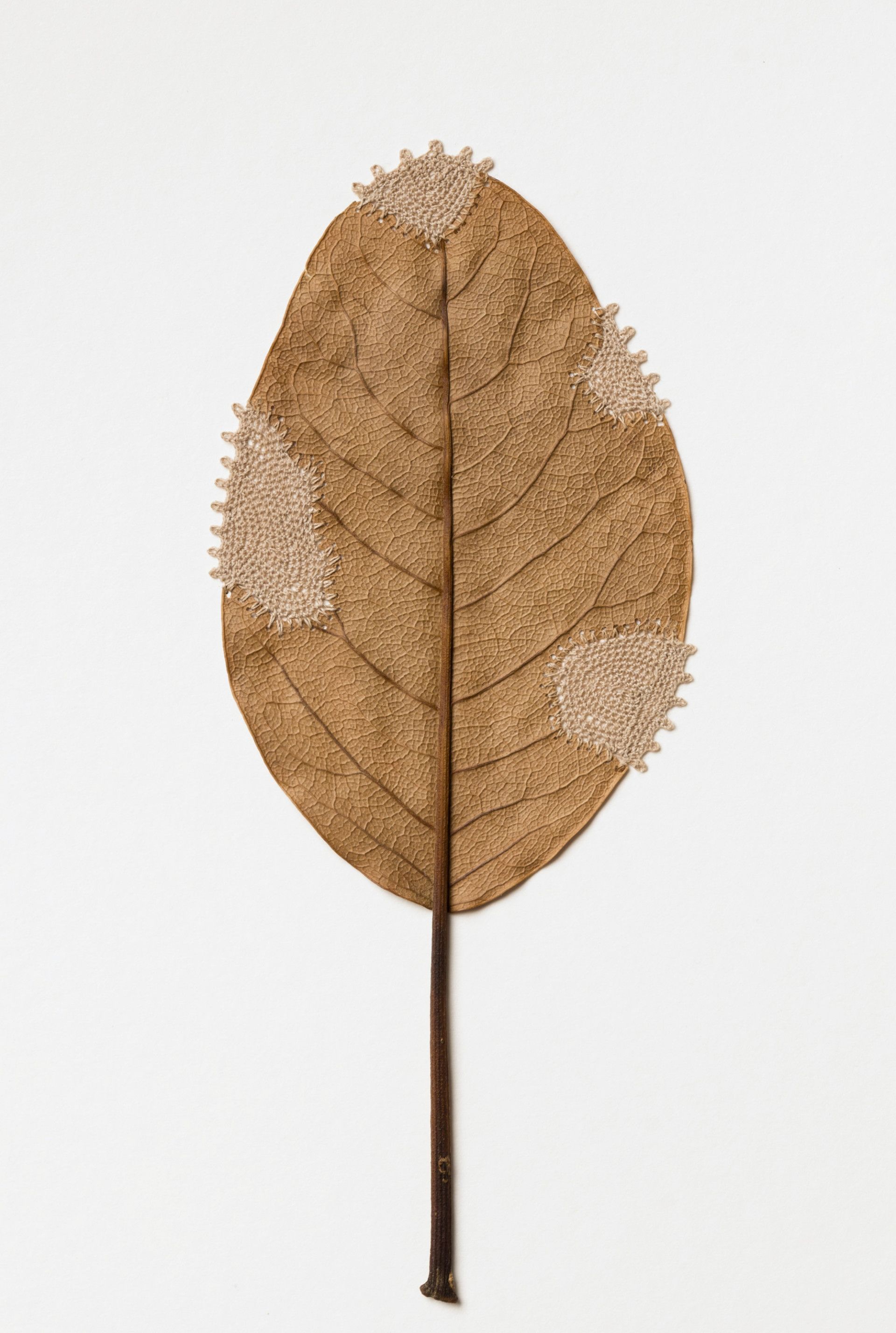 心灵手巧的人让枯叶也能又逢春