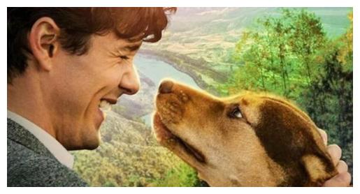 一条狗的回家路》电影讲述一只狗狗回家的